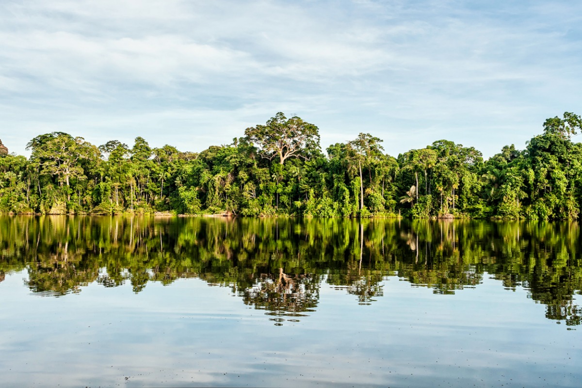 Smart technology is monitoring the environment in the National Park of Manú 