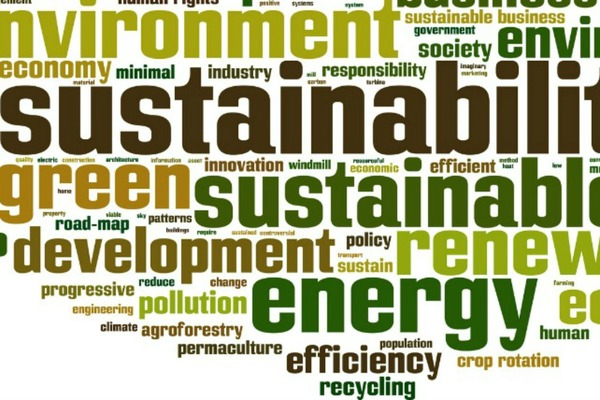 Global study links sustainability practices with performance