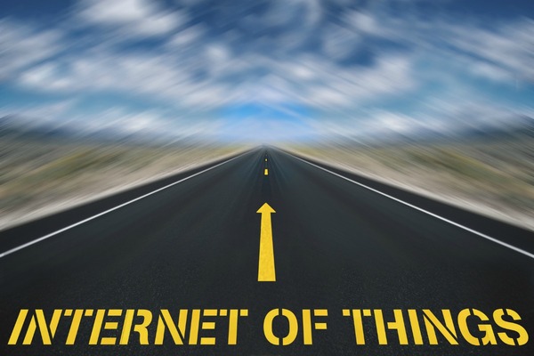 Show me the money in the Internet of Things