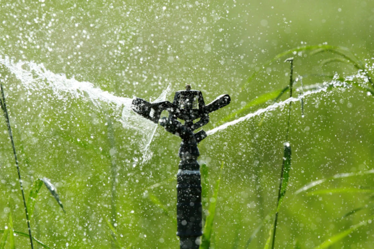 EPA estimates that 30% of a household's water usage is for irrigation