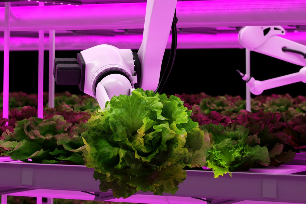 Urban indoor agriculture the answer to an over populated and hungry world?
