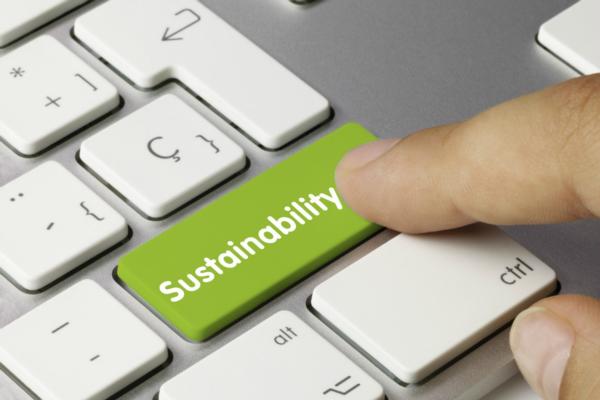 Software developers motivated by sustainability projects