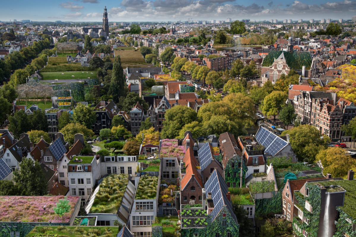The blue-green roofs will be laid over a three-year period. Picture: Rooftop Revolution