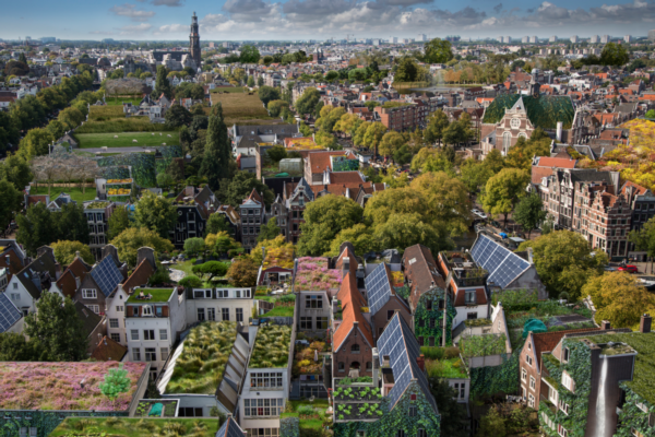 Amsterdam installs blue-green roofs