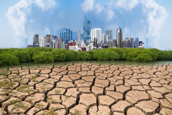 Helping cities finance climate mitigation