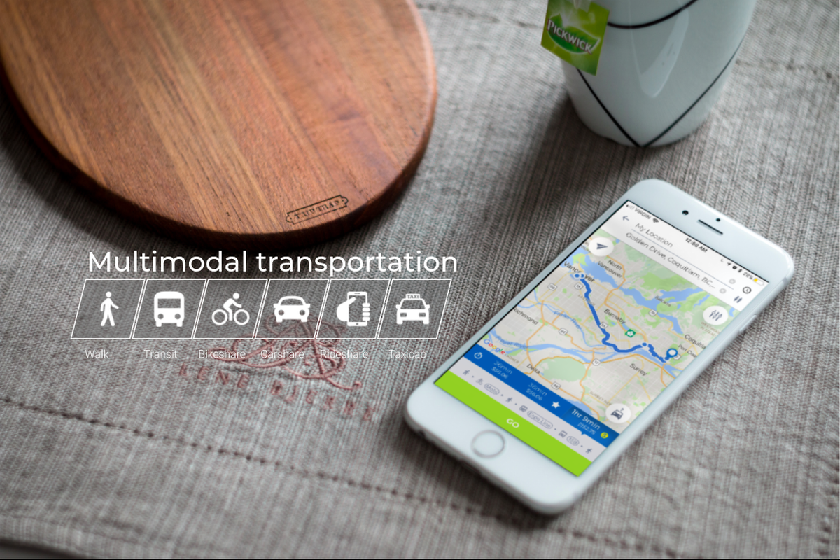Users of the Cowlines app can choose the fastest, cheapest or greenest route