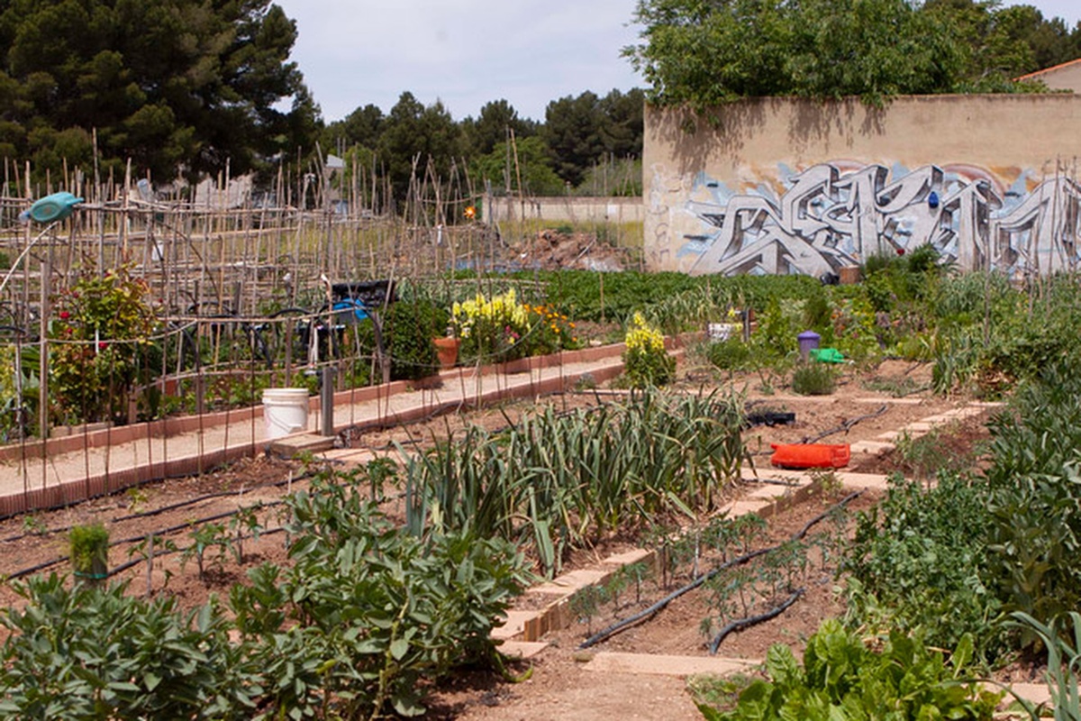 The social garden project in the city of Albacete brings generations together