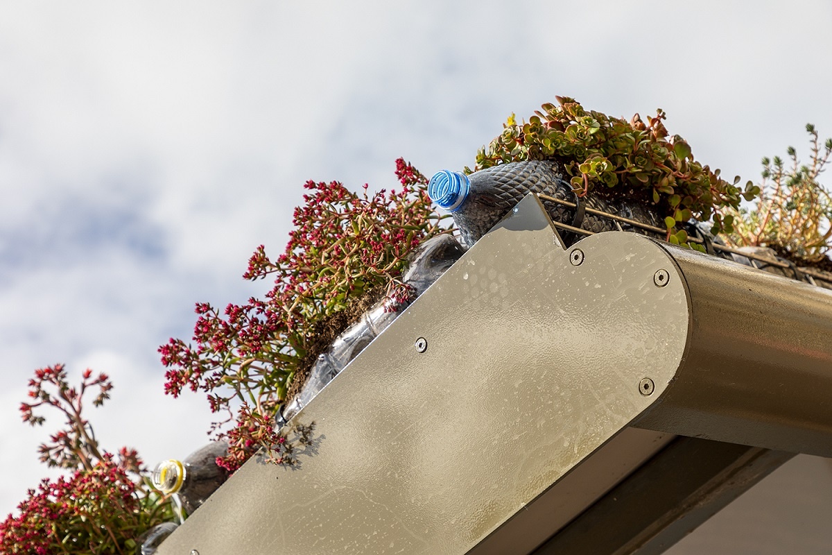 Each Sedum plant was put in an upcycled plastic bottle, recovered from the beach