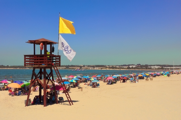 AI-based lifeguard system aims to bring smart city tech to the beach