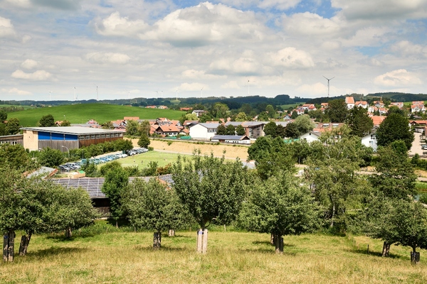 Consumers in Wildpoldsried can define preferences for electricity purchases