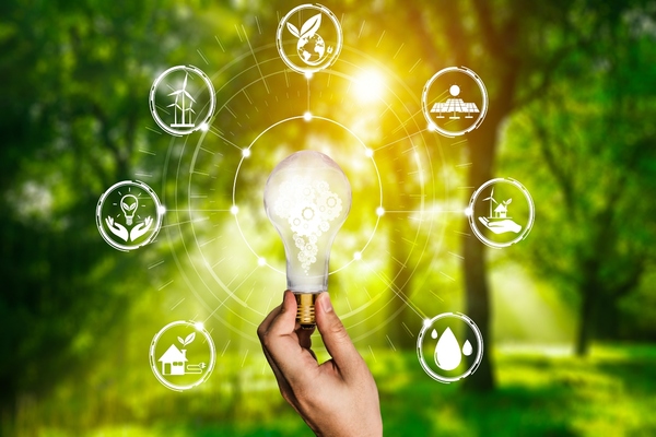 Report aims to shows how digital innovation can bring net-zero forward