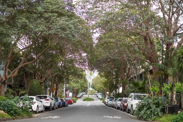Tree-lined Chippendale Street. Photograph: Mark Metcalfe, City of Sydney