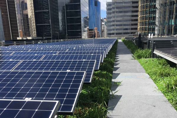 Lendlease is on net-zero carbon pathway. Photo: Daramu House/Lucy Sharman/LendLease