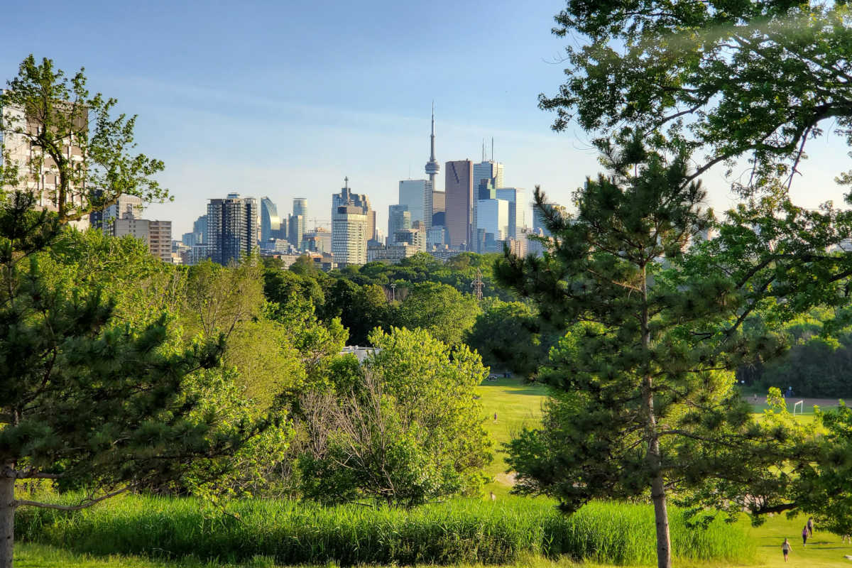 Toronto's Neighbourhood Climate Action Champions will engage communities on climate-related projects