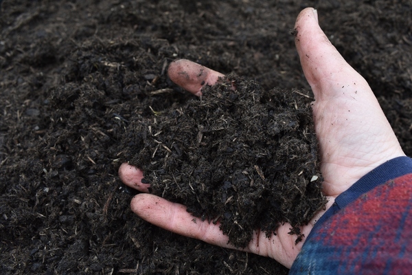 Biochar used as a soil fertiliser promotes plant growth while simultaneously absorbing carbon