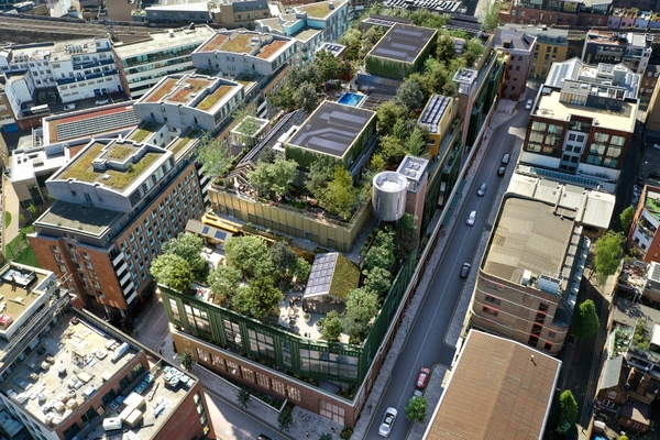 The rooftop urban forest will feature 125 mature trees. Images by Sheppard Robson, courtesy of Fabrix