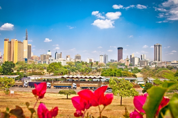 Nairobi5 flowers_smart cities_Adobe.jpg