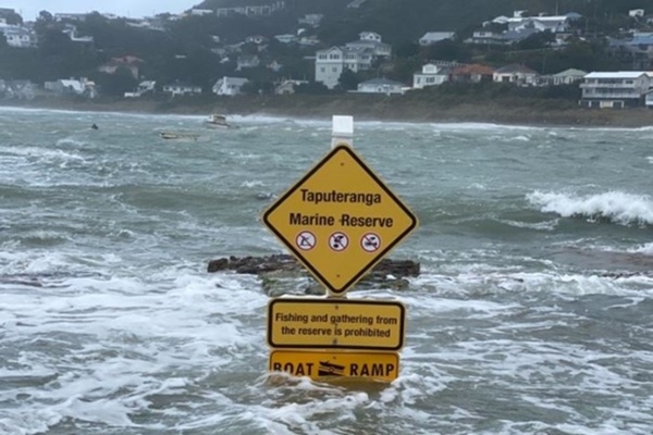 Wellington involves affected communities in climate adaptation