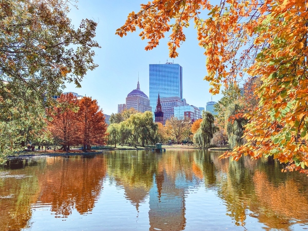 Boston trees5 in fall_smart cities_Adobe.jpg