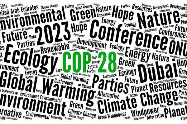 Cop28: CEO climate leaders call for transformative policies