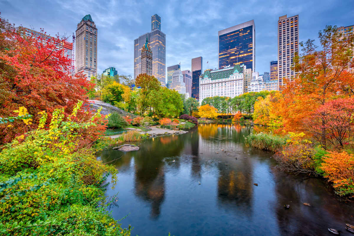 New York City buildings from Central Park