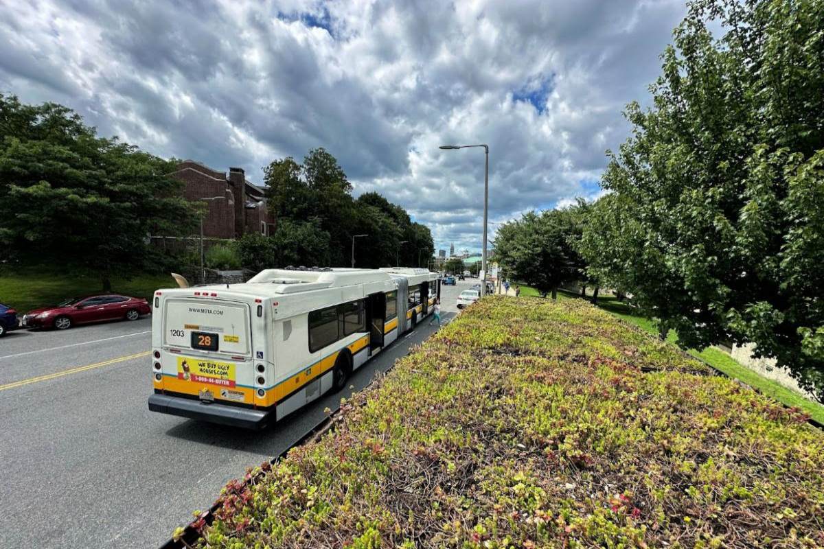 City of Boston adds green roofs to 30 bus shelters