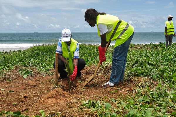 GMC_Freetown_TreeGiveaway_Bloomberg.jpg