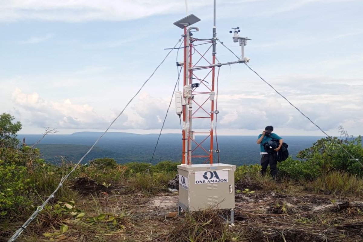 Alliance powers ‘Internet of Forests’ to protect rainforests