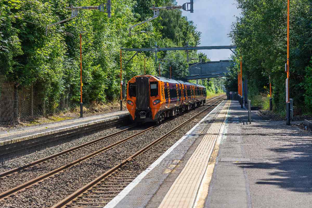 Tree Council and Network Rail renew tree planting partnership