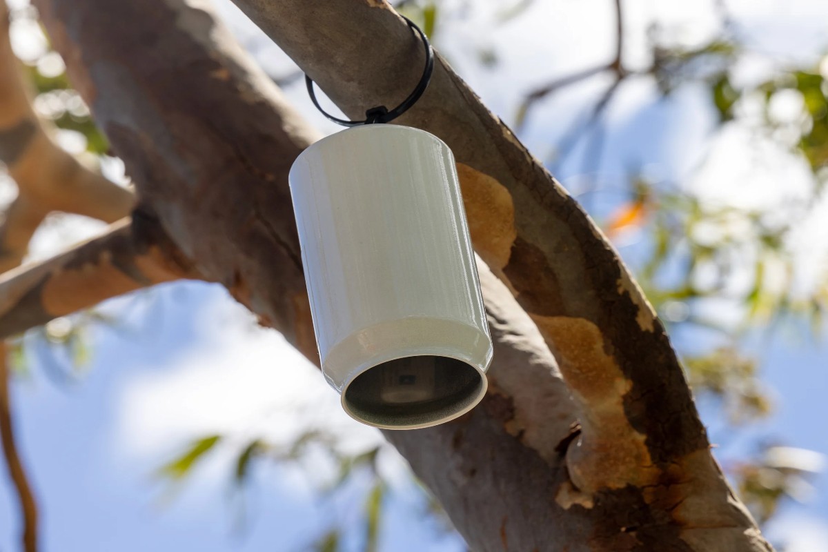 Microclimate report reveals how Sydney feels the heat