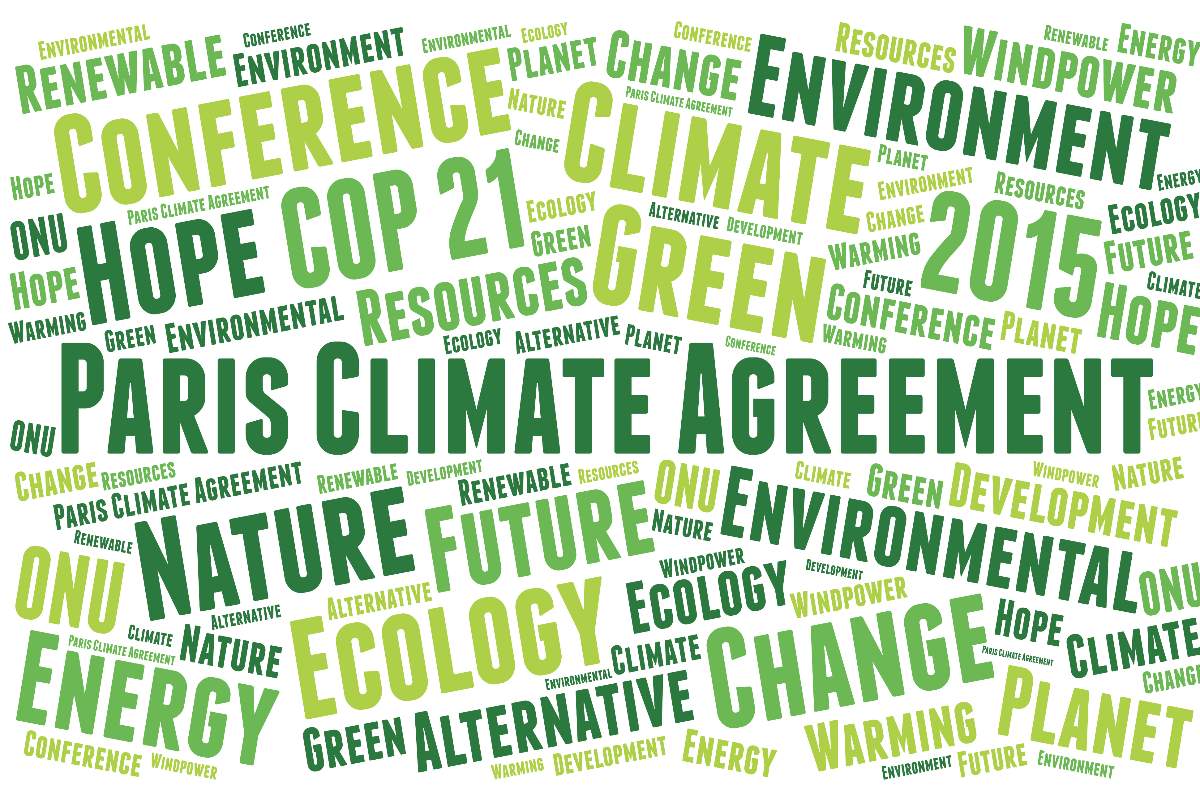 How are cities, states, and regions delivering a decade after the Paris Agreement?