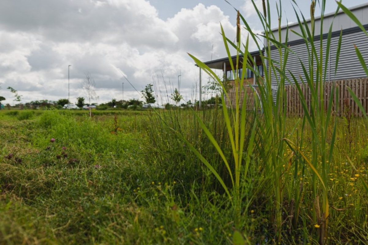 Dublin City Council progresses green infrastructure project
