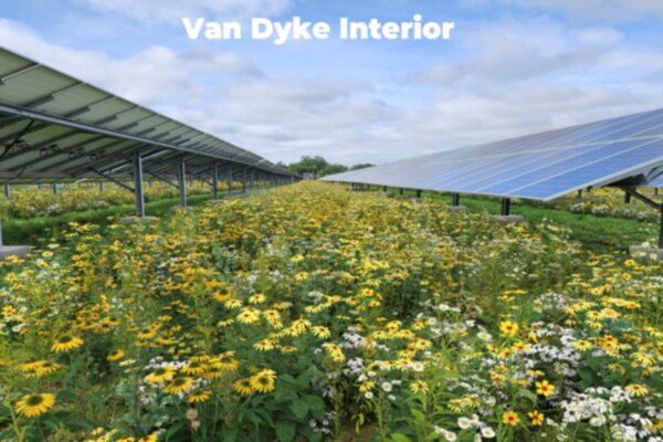 Detroit Solar Neighborhoods Van Dyke smart cities PR (1)