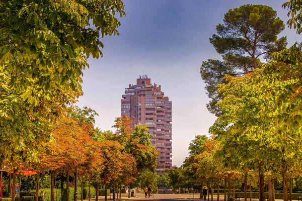 Madrid to deploy AI for smarter management of parks and green spaces from 2026
