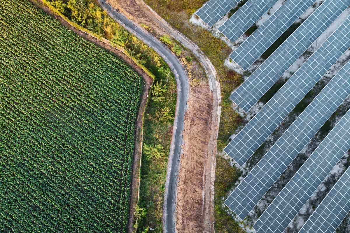 Why the tech sector must put nature at heart of operations