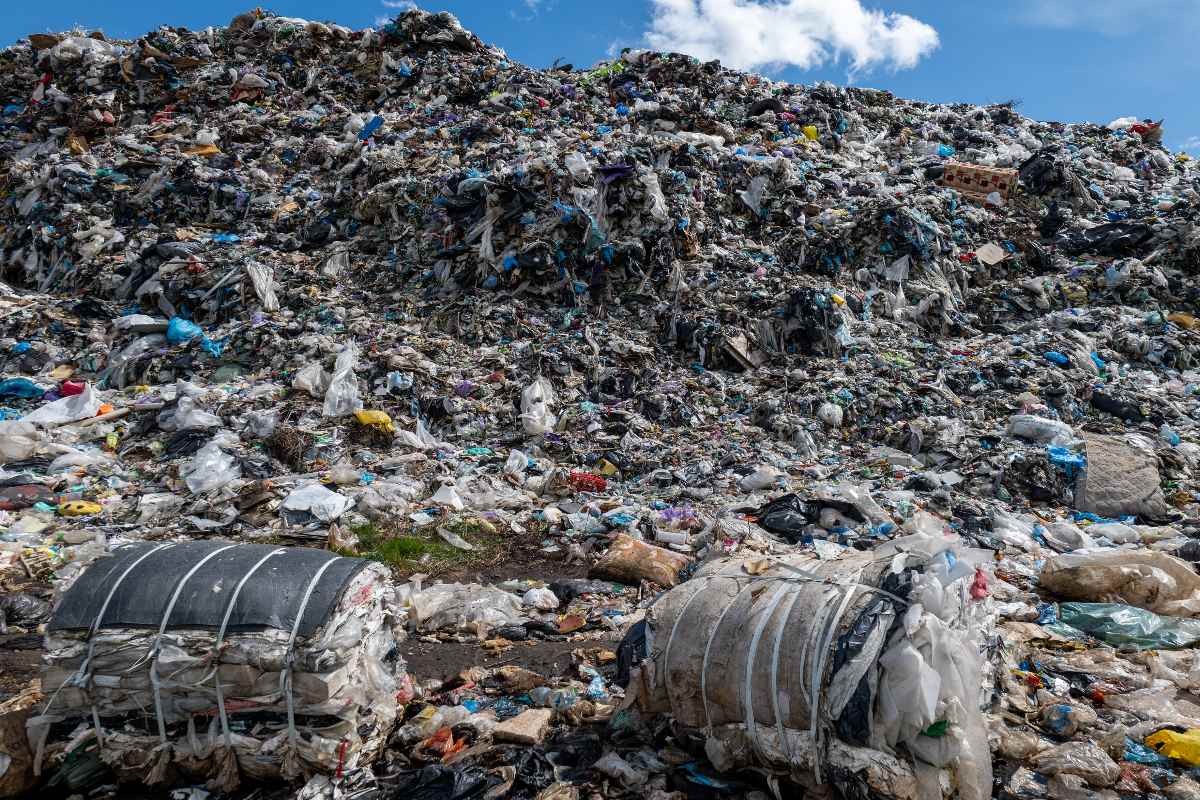 How digital tools can help cities cut waste costs