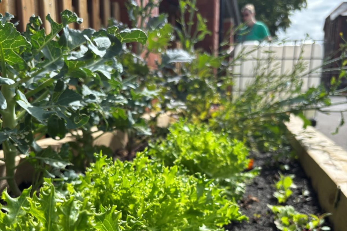 Cardiff schools create climate-adapted playgrounds