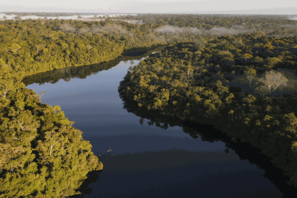Amazonian municipalities develop climate action plans