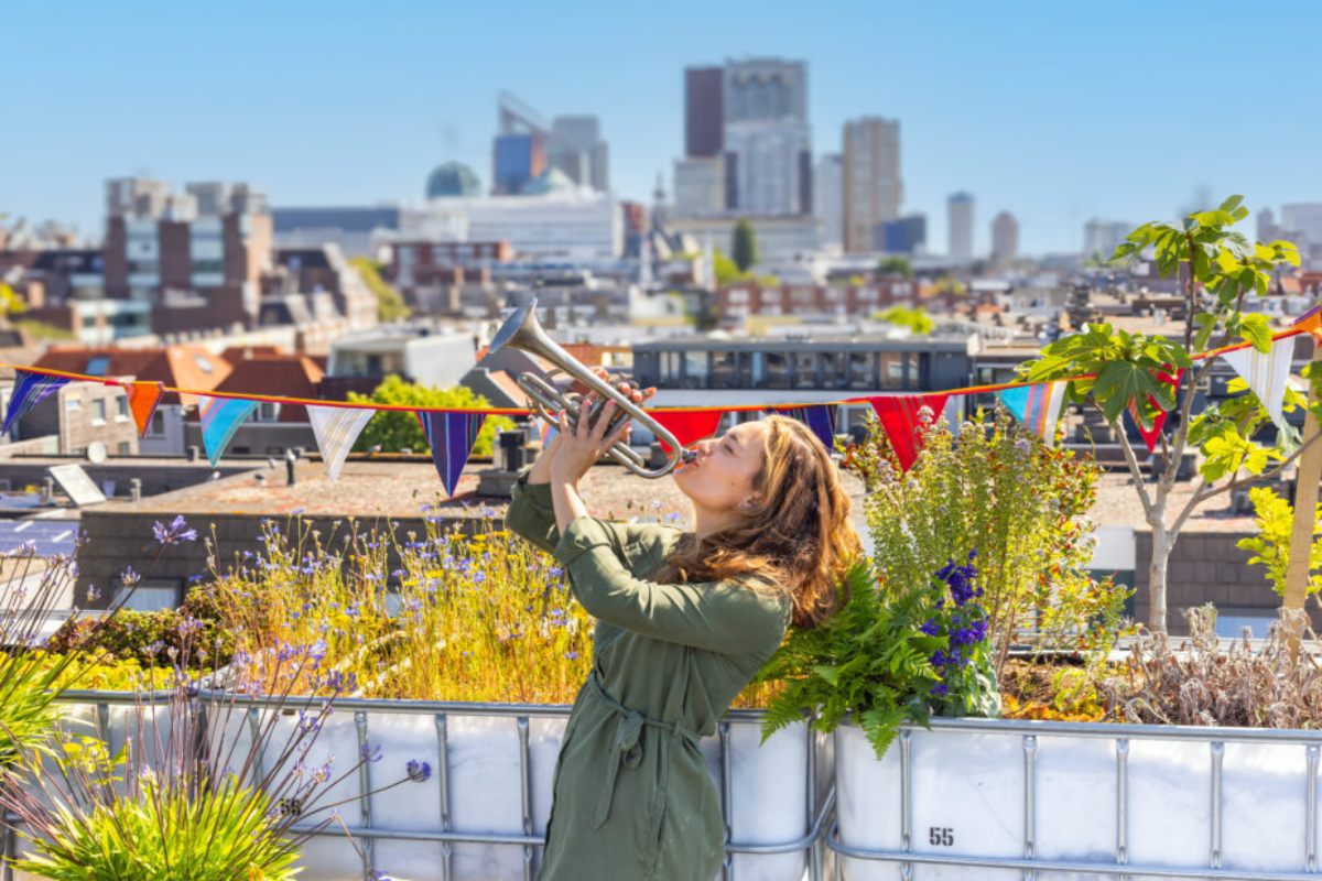 How The Hague is using its rooftops to adapt to climate change