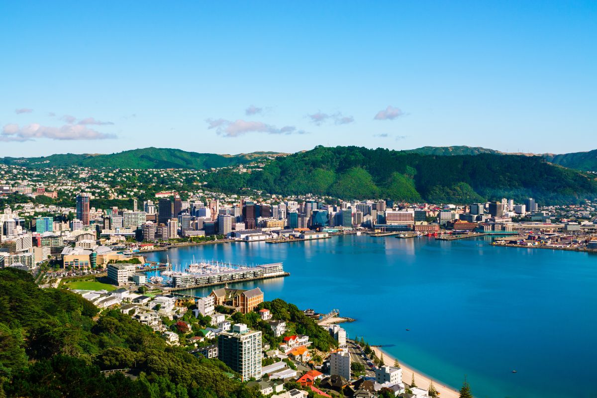 How cities are turning to nature-based solutions