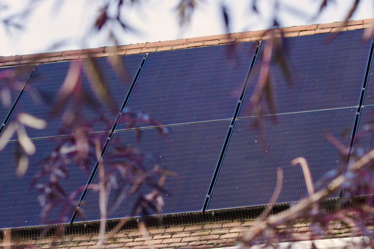 Octopus Energy to sell plug-in solar
