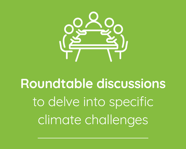 Roundtable Discussions